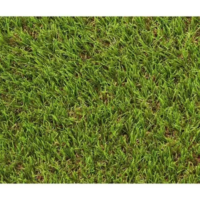 Produktbild von Gras - EXELGREEN - 124414 - Natura 2D - 38 mm / 1 x 5 m