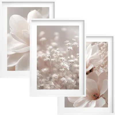 Produktbild von Wandposter Wandbilder für Wohnzimmer und Schlafzimmer Weiße Blumen 50x70