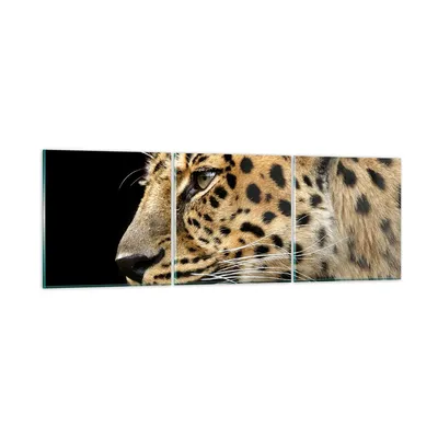Produktbild von Bilder auf glas - Tiere Leopard wilde Katze wilde Tiere - 150x50cm - Glasbilder - Wandbilder - Kunstdruck - Wanddekoration aus Glas - Glas Bilder - Wandbild auf Glas - GCA150x50-0433
