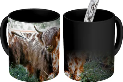 Obrázek produktu pro MuchoWow® Kouzelný pohár Skotští horalé - Les - Zvířata 350 ml Barva měnící se pohár Dárkový nápad - foto hrnek