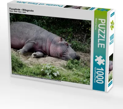 Produktbild von Calvendo Flusspferde – Mittagsruhe 1000 Teile Puzzle quer 640x480mm, Herzog Michael; 7399142