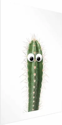 Produktbild von Posterpapier Poster - Living Cactus 29.7x42 cm Blätter b-A-0397-ao-a