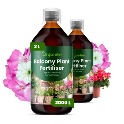 Produktbild von Flüssigdünger für Balkonpflanzen 2x1L – 2-1-8 NPK – Flüssigdünger Für Blüh- & Grünpflanzen – Für Üppige Blüten & Blätter – Organifer