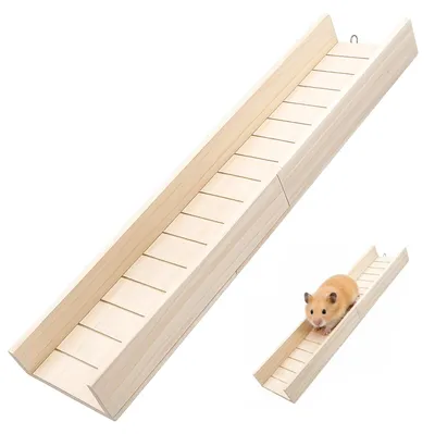 Immagine prodotto di Solidchoice - Rampa in legno per cavie e piccoli animali (60 cm)