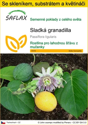 Obrázek produktu pro SAFLAX Kultivační sada - Sladká granadilla - Passiflora ligularis - 20 Semena - S mini skleníkem, pěstebním substrátem a 2 květináči