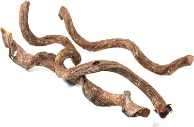 Produktbild von Drachen Liane Natur 5 Stück ca. 60 cm Ø 2-3 cm Rattan Terrarium Voliere Deko