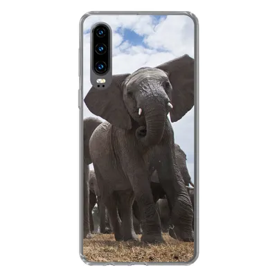 Produktbild von MuchoWow® Handyhülle Schutzhülle Hülle für Huawei P30 Elefant - Tiere - Natur - Flachland Silikon Softcase Handy Hülle - Kartenbesitzer