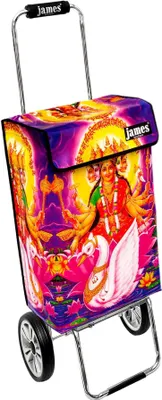 Produktbild von James Einkaufstrolley - BOLLYWOOD - stabiler Einkaufswagen mit individuellem Design - einfarbig: orange in Ausführung: Chrome19