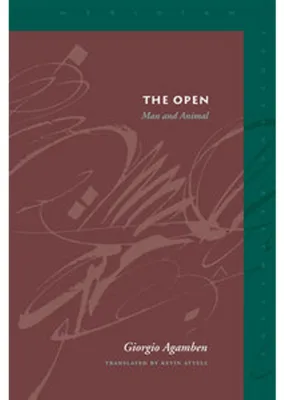 Obrázok produktu pre The Open