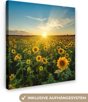 Produktbild von MuchoWow® - Leinwandbilder - Sonnenuntergang - Blumen - Sonnenblume - Horizont - Landschaft, Wandbild, Wanddeko Bilder Wohnzimmer, 50x50cm