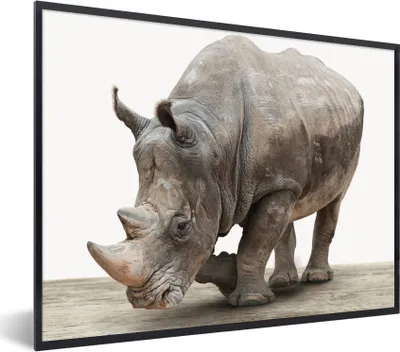Produktbild von MuchoWow® Gerahmtes Poster Nashorn - Jungen - Wildtiere - Kinder - Mädchen - Tiere 80x60 cm - Poster mit Schwarzem Bilderrahmen Wandposter Rahmen Foto Bilder - Schwarzem - Mit Gestell