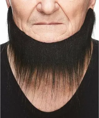 Image de Fausse barbe My Other Me Noir