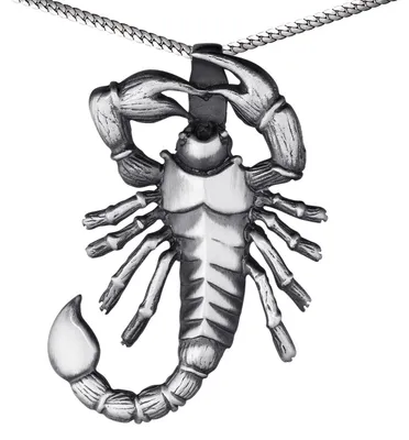 Produktbild von MATERIA Herren Kettenanhänger Sternzeichen Skorpion 925 Silber Anhänger Männer geschwärzt mit Panzer-Kette #KA-62