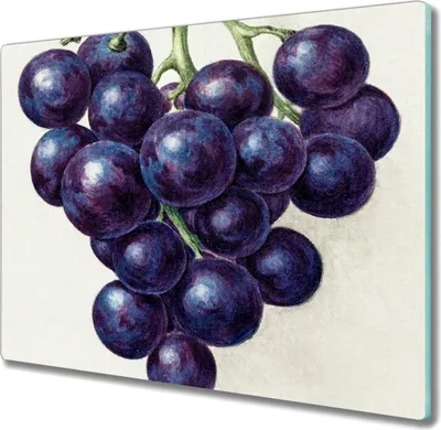 Produktbild von Coloray Hackbrett Kochplattenabdeckung Herdabdeckplatte 60x52 cm Schneidebrett Küchenbrett - Trauben Früchte