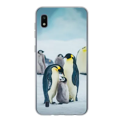 Produktbild von MuchoWow® Handyhülle Schutzhülle Hülle für Samsung Galaxy A10 Kaiserpinguin-Küken wird gefüttert Silikon Softcase Handy Hülle - Schutzhülle