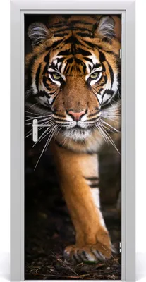 Produktbild von Tulup Türaufkleber 75x205 cm Dekorative Aufkleber Selbstklebend Wasserdichte Tapete Abnehmbar Schlafzimmer Wohnzimmer Wohnkultur - Tiger