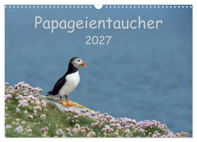 Produktbild von Papageientaucher 2027 (Wandkalender 2027 DIN A3 quer), CALVENDO Monatskalender