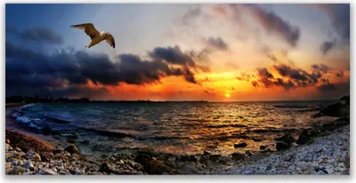 Produktbild von Acrylglasbilder 120x60 Wandbild Druck Möwe Meer Strand Landschaft