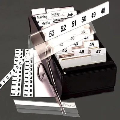 Image de 3L Index Strips, White Preprinted.