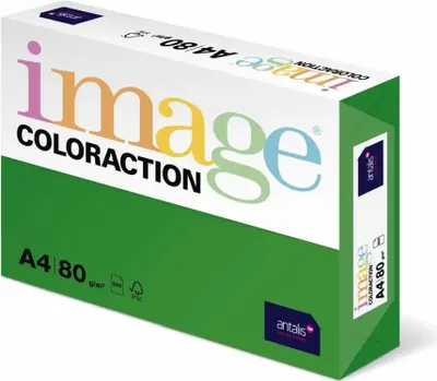 Produktbild von Antalis Coloraction, Laser-/Inkjet-Druck, A4 (210x297 mm), 500 Blätter, 80 g/m², Grün, 105 µm