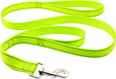 Produktbild von PETSTORY Reflektierende Hundeleine 1,5cm x 120cm