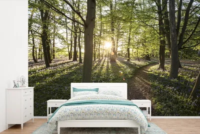 Produktbild von MuchoWow® Fototapete für Wohnzimmer oder Schlafzimmer Wandtapete Vinyl Motivtapete Wald - Baum - Sonne - 450x300 cm - Gemusterte
