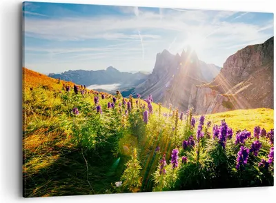Produktbild von Bild auf Leinwand - Leinwandbild - Berge Wiese Blumen - 100x70cm - Wand Bild - Wanddeko - Leinwanddruck - Bilder - Kunstdruck - Wanddekoration - Leinwand bilder - Wandkunst - AA100x70-4008