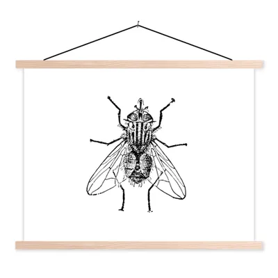 Produktbild von MuchoWow® Textilposter Fliege - Tiere - Vintage - Schwarz und weiß 60x45 cm mit holzfarbenen Rahmen - Bild