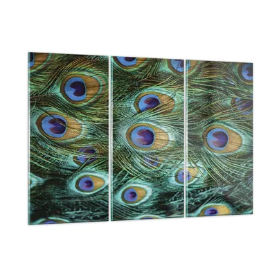 Produktbild von Bilder auf glas - 3 Teile - Pfauen Feder Makro - 105x70cm - Glasbilder - Wandbilder - Bilder - zum Aufhängen bereit - Wanddekoration aus Glas - Glas Bilder - Wandbild auf Glas - GCE105x70-4159