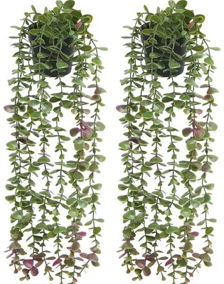 Immagine prodotto di Piante artificiali di eucalipto verdi, piccole decorazioni
