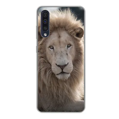 Produktbild von MuchoWow® Handyhülle Schutzhülle Hülle für Samsung Galaxy A50 Löwe - Tier - Weiß Silikon Softcase Handy Hülle - Mobiltelefonhülle