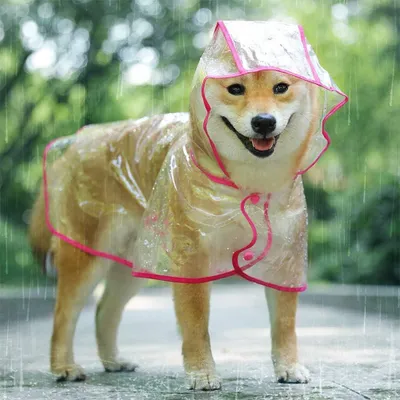 Produktbild von Regenmantel für Hunde und Katzen mit Kapuze, verstellbar, PVC, transparent, wasserdicht, ultraleicht, für kleine Hunde