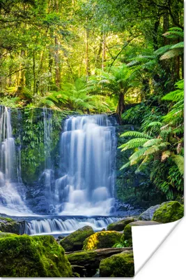 Produktbild von MuchoWow® Poster Dschungel - Wasserfall - Australien - Pflanzen - Natur 80x120 cm - Papierdruck