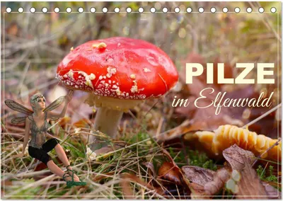 Produktbild von Pilze im Elfenwald (Tischkalender 2026 DIN A5 quer), CALVENDO Monatskalender