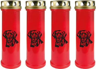 Produktbild von Grabkerze Rot 4er Pack, Brenndauer: 100 Stunden ( je Kerze ), Motiv: Labrador