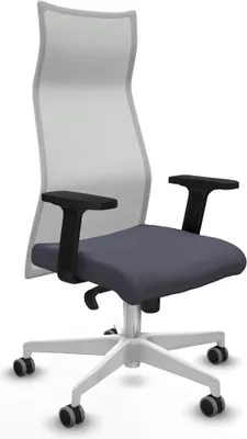Produktbild von Bürostuhl Piqueras y Crespo B2D026G Dunkelgrau