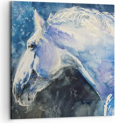 Produktbild von Bild auf Leinwand - Leinwandbild - Einteilig - Pferd Aquarell Porträt - 50x50cm - Wand Bild - Wanddeko - Wandbilder - Leinwanddruck - Bilder - Wanddekoration - Leinwand bilder - AC50x50-4272