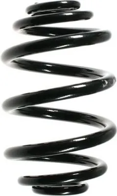 Produktbild von SPIDAN Fahrwerksfeder Hinten für BMW 3 Compact (E46) 55119