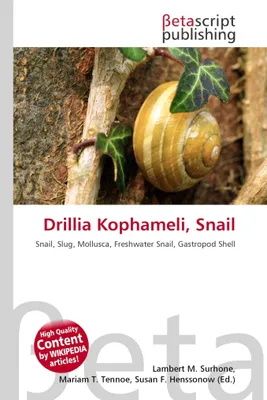 Produktbild von Drillia Kophameli, Schnecke