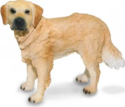 Immagine prodotto di Golden Retriever