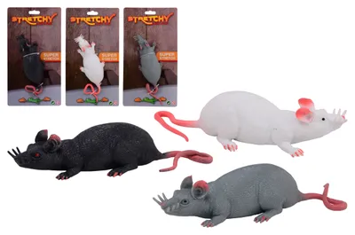 Zdjęcie produktu dla Rozciągnięty szczur