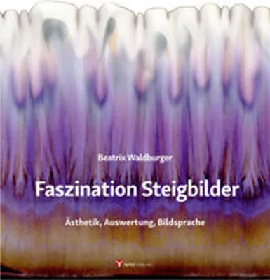 Produktbild von Faszination Steigbilder