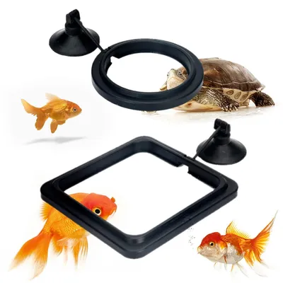 Image de Deux pièces de nourriture flottante pour aquarium, noires, avec ventouse, pour poissons et tortues