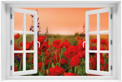 Produktbild von Wallario Premium Glasbild mit Fensterrahmen, freischwebende Optik, kräftige Farben, Größe 60 x 90 cm Motiv Mohnblumen auf dem Feld