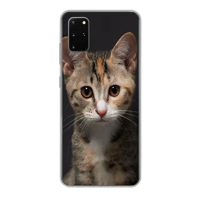 Produktbild von MuchoWow® Handyhülle Schutzhülle Hülle für Samsung Galaxy S20 Plus Katze - Schwarz - Porträt Silikon Softcase Handy Hülle - Hartschale