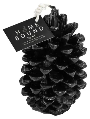 Imagen del producto de Vela HomeBound, piñas de pino, color