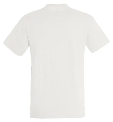 Image de T-shirt SOLS Regent pour homme, manches courtes PC288 (L) (Bourgogne)