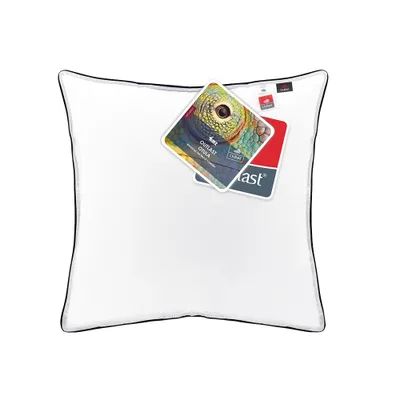 Immagine prodotto di Cuscino anallergico 40x40 Outlast liscio 250 g bianco AMZ