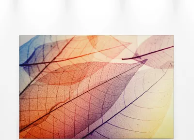 Produktbild von Blätter Leinwandbild Orange 90x60 DD120272 Keilrahmen Wandbild Natur Gelb