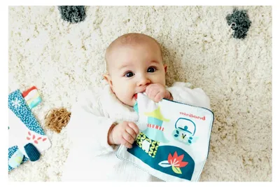 Produktbild von Knistertuch für Babys mit Seelöwe